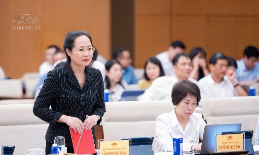 Minister of Culture, Sports, and Tourism Lam Thi Phuong Thanh (standing)  presents an executive summary of the draft Law on the Development of Cultural Industries. (Photo: quochoi.vn)