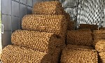 Khi phụ phẩm nông nghiệp trở thành nguyên liệu công nghiệp, tạo ra vật liệu mới