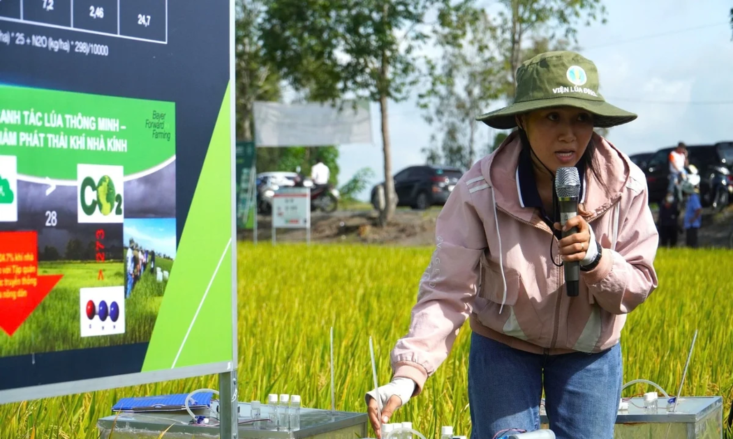 Nếu không có khung hướng dẫn kỹ thuật thống nhất, các cơ quan, đơn vị tại địa phương sẽ lúng túng trong xác định ranh giới phát thải, áp dụng sai công thức tính toán, thu thập số liệu hoạt động không chuẩn cũng như lựa chọn không đúng hệ số phát thải. Ảnh minh họa: Kim Anh