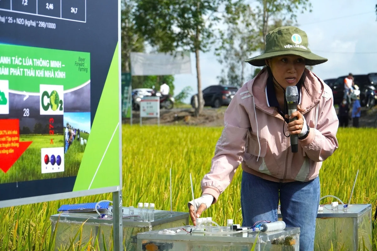 Nếu không có khung hướng dẫn kỹ thuật thống nhất, các cơ quan, đơn vị tại địa phương sẽ lúng túng trong xác định ranh giới phát thải, áp dụng sai công thức tính toán, thu thập số liệu hoạt động không chuẩn cũng như lựa chọn không đúng hệ số phát thải. Ảnh minh họa: Kim Anh