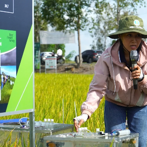 Nếu không có khung hướng dẫn kỹ thuật thống nhất, các cơ quan, đơn vị tại địa phương sẽ lúng túng trong xác định ranh giới phát thải, áp dụng sai công thức tính toán, thu thập số liệu hoạt động không chuẩn cũng như lựa chọn không đúng hệ số phát thải. Ảnh minh họa: Kim Anh