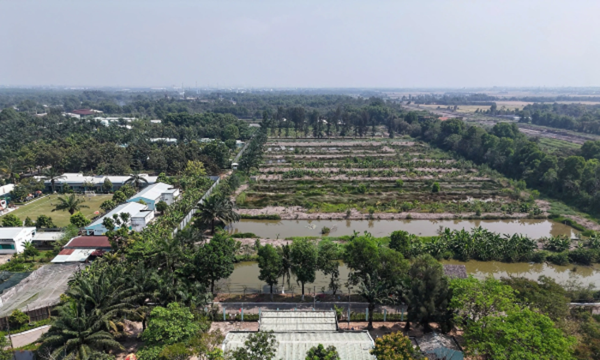 TP. Hồ Chí Minh thu hồi khu đất 7.340 m2 do vi phạm pháp luật về đất đai