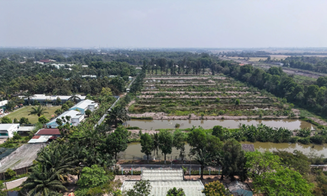 TP. Hồ Chí Minh thu hồi khu đất diện tích 7.340 m2 do vi phạm pháp luật về đất đai - Ảnh: Hà Trang (HoChiMinh CityWeb).