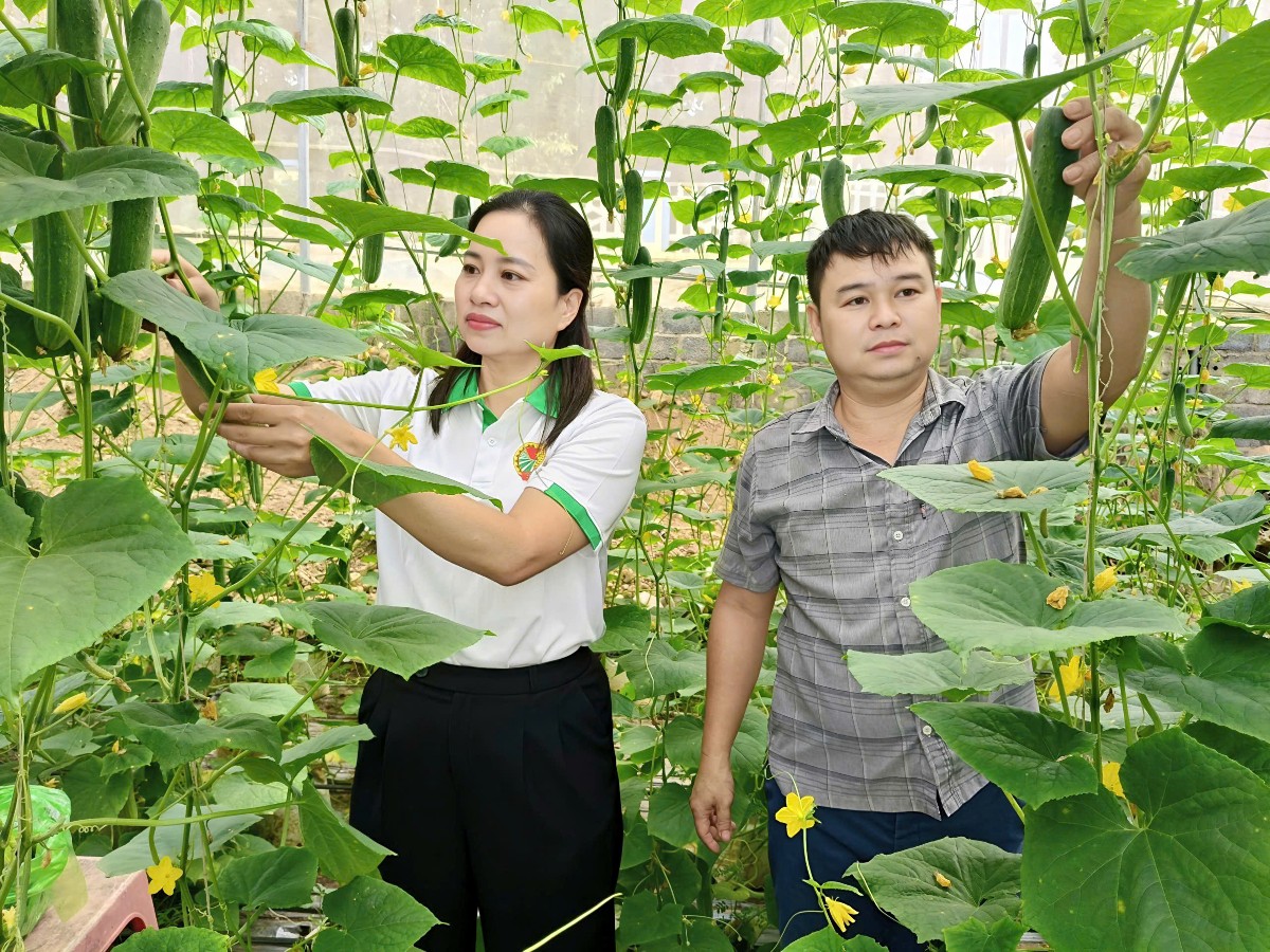 Nông dân Thường Xuân từng bước ứng dụng khoa học kỹ thuật vào sản xuất, nâng cao chất lượng và giá trị nông sản. Ảnh: Linh Nhi