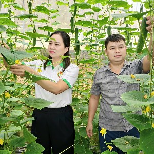 Nông dân Thường Xuân từng bước ứng dụng khoa học kỹ thuật vào sản xuất, nâng cao chất lượng và giá trị nông sản. Ảnh: Linh Nhi