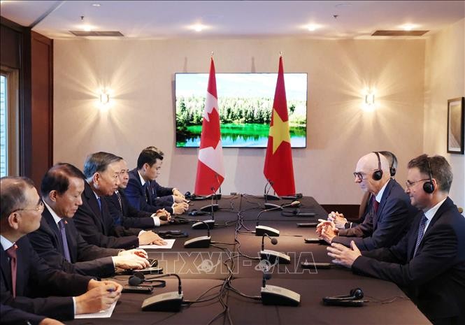 Tổng Bí thư, Chủ tịch nước Tô Lâm tiếp Giáo sư Graham Carr, Hiệu trưởng Trường Đại học Concordia. Ảnh: TTXVN
