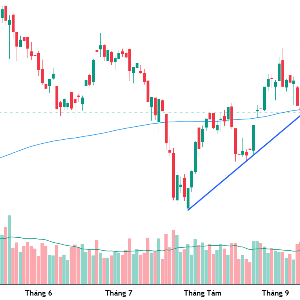 VN-Index và đường trung bình 200 ngày.