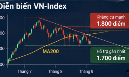 Chuyên gia: Dòng tiền lớn vẫn suy giảm, cần tập trung vào doanh nghiệp chất lượng thay vì chỉ số