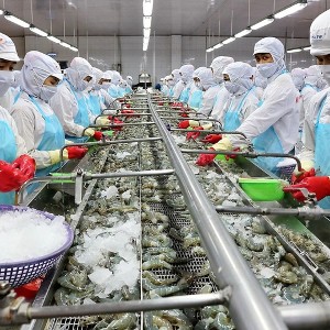 EFTA cam kết xóa bỏ thuế ngay đối với toàn bộ hàng công nghiệp (bao gồm mặt hàng thủy sản). Ảnh minh họa: VGP.