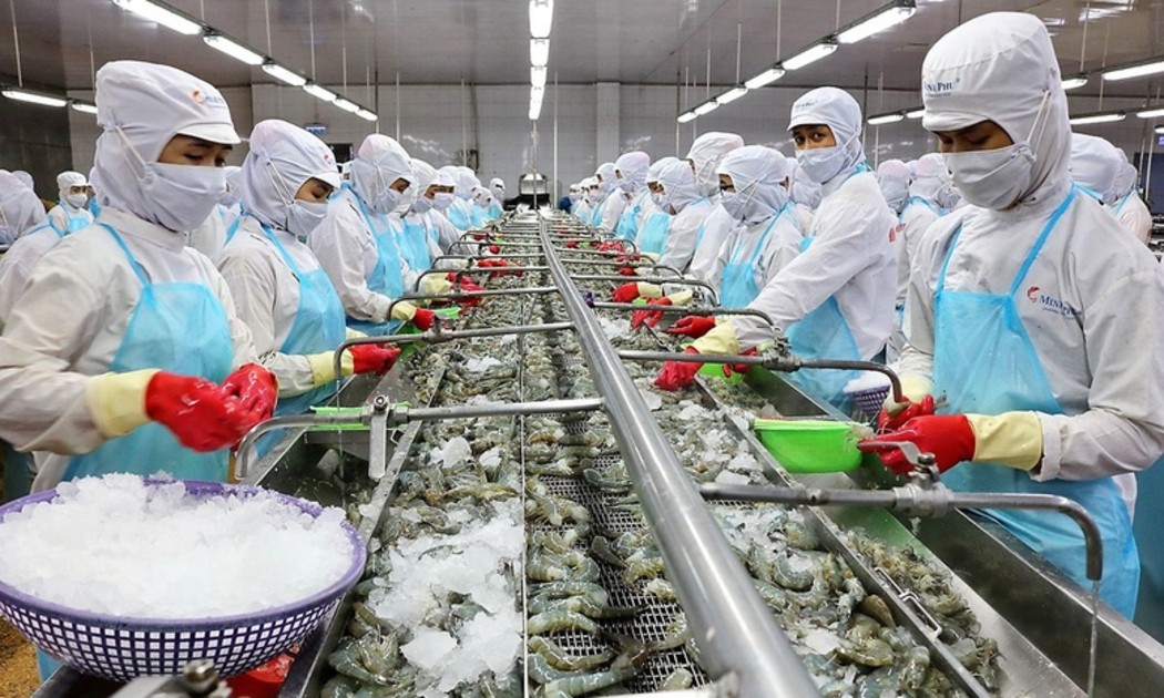 EFTA cam kết xóa bỏ thuế ngay đối với toàn bộ hàng công nghiệp (bao gồm mặt hàng thủy sản). Ảnh minh họa: VGP.