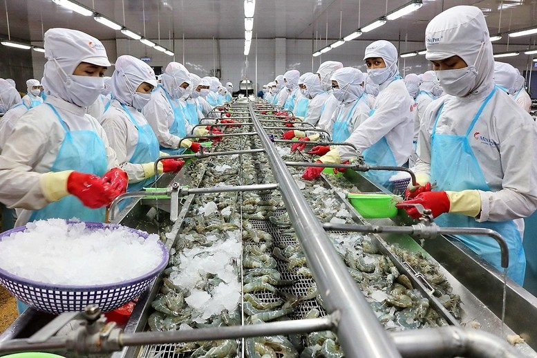 EFTA cam kết xóa bỏ thuế ngay đối với toàn bộ hàng công nghiệp (bao gồm mặt hàng thủy sản). Ảnh minh họa: VGP.