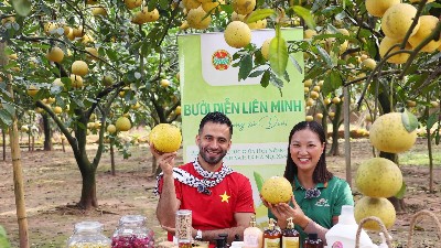 Vietnamese firms target global Halal expansion