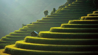 Safety and security in wellness tourism