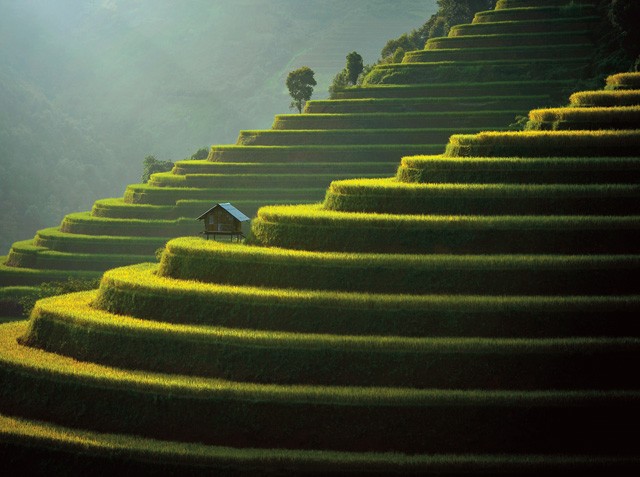 Safety and security in wellness tourism