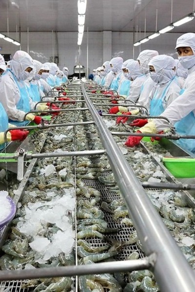 Draft proposal for signing Vietnam–EFTA free trade agreement completed
