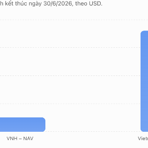 VnEconomy
