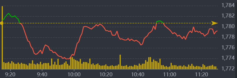 Diễn biến VN-Index sáng nay.