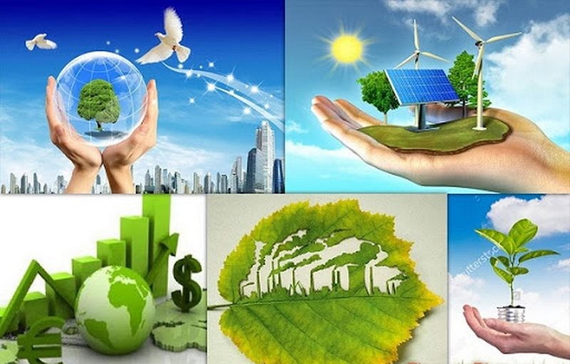 Cần quy định cụ thể về tỷ lệ chi ngân sách nhà nước cho sự nghiệp môi trường. Ảnh: Chinhphu.vn