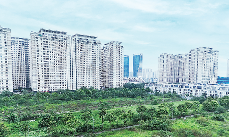 Xử lý đất bỏ hoang, quy định thời hạn sử dụng nhà chung cư