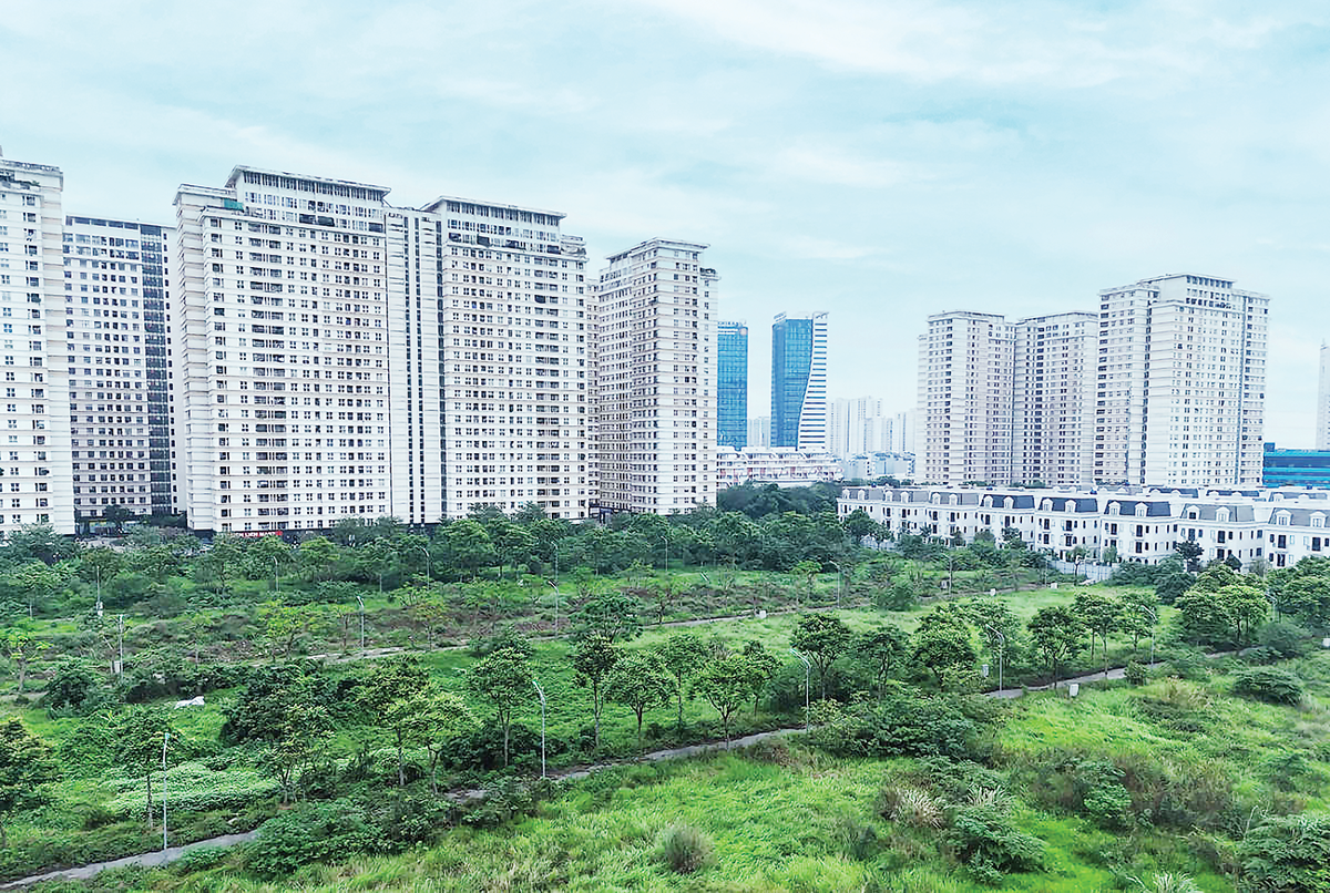 Xử lý đất bỏ hoang, quy định thời hạn sử dụng nhà chung cư