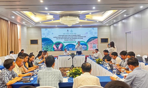 Phục hồi rừng sau khai khoáng, mở cơ hội từ thị trường carbon
