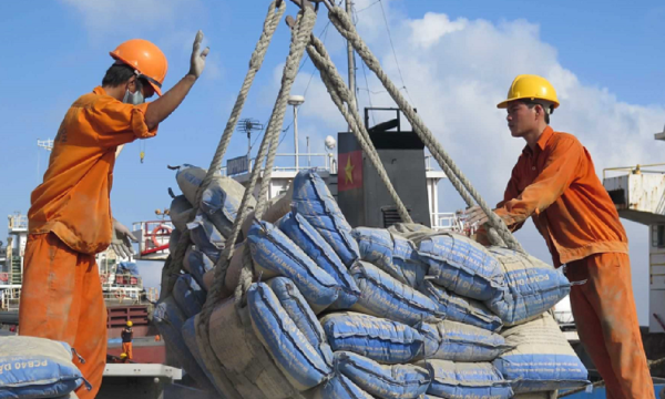 Xi măng Việt Nam đối mặt vụ điều tra chống bán phá giá từ Nam Phi