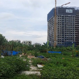 Khu đất xen kẹt rộng hơn 4,6ha tại đường Vành Đai 2 trên địa bàn phường Kiên An là một trong số các khu đất xen kẹt có diện tích lớn được thu hồi theo