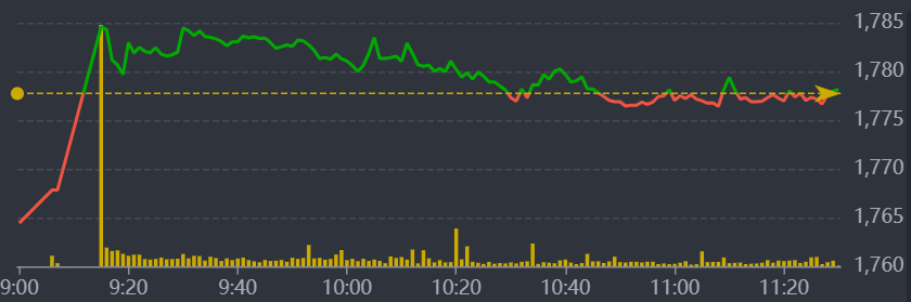 Diễn biến VN-Index sáng nay.