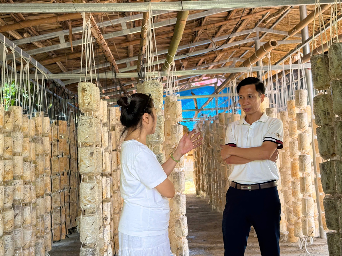 Ông Ngô Văn Nam trưởng phòng Văn hóa - xã hội xã Hương Cần trao đổi với phóng viên về mô hình phát triển du lịch sinh thái nông nghiệp tại địa phương Ảnh: Huỳnh Dũng