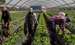 Tây Ban Nha, “nhà kính” của châu Âu đang cạn kiệt nguồn nước