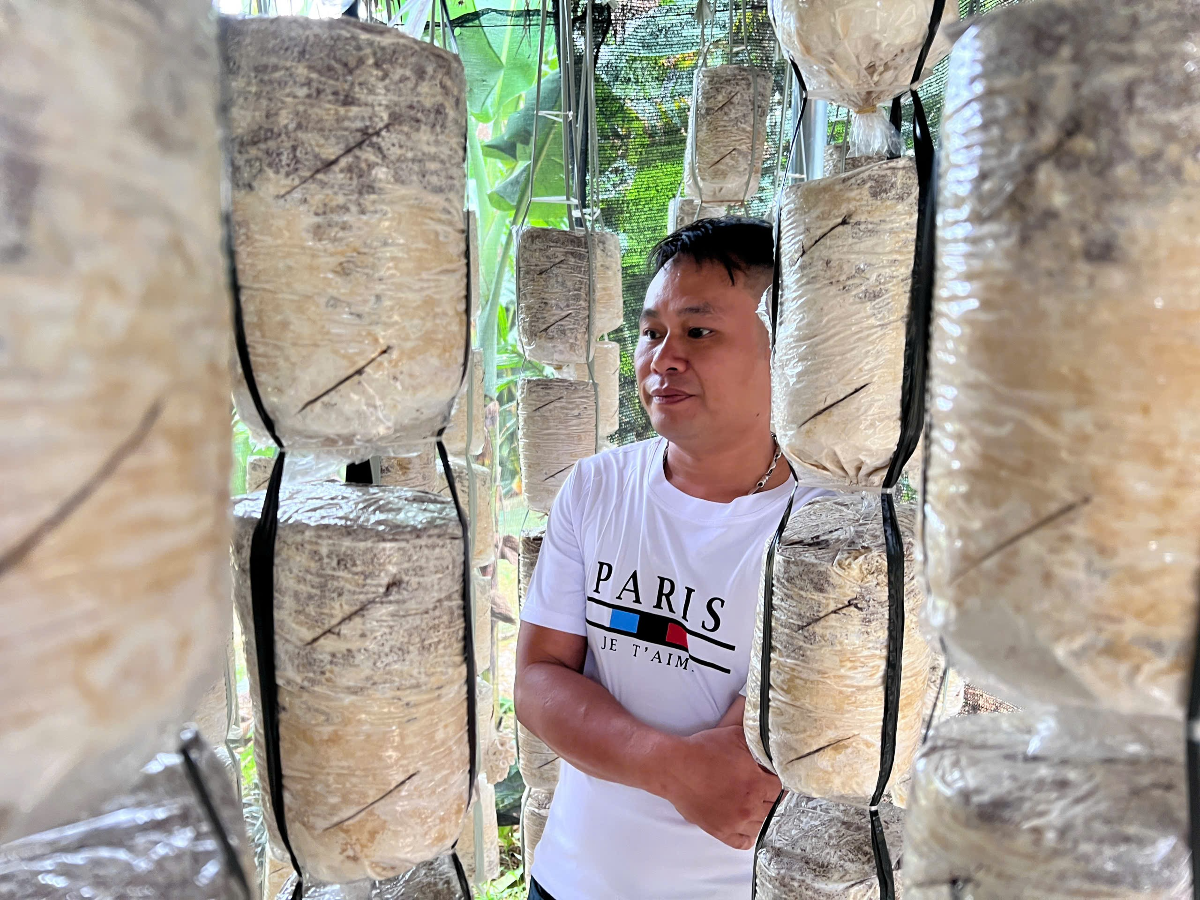 Anh Đặng Văn Quang, thôn Lịch, xã Hương Cần cho biết: Việc trồng nấm đã tạo thêm nguồn thu ổn định cho gia đình anh cũng như các hộ dân trong vùng. Ảnh: Huỳnh Dũng