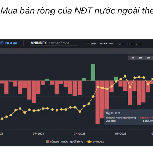VnEconomy