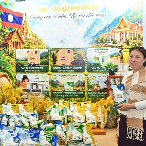 Các sản phẩm đặc trưng của Lào được giới thiệu tại Tuần lễ sản phẩm Việt - Lào. Ảnh: Song Hà.