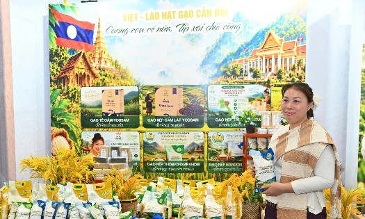 Các sản phẩm đặc trưng của Lào được giới thiệu tại Tuần lễ sản phẩm Việt - Lào. Ảnh: Song Hà.