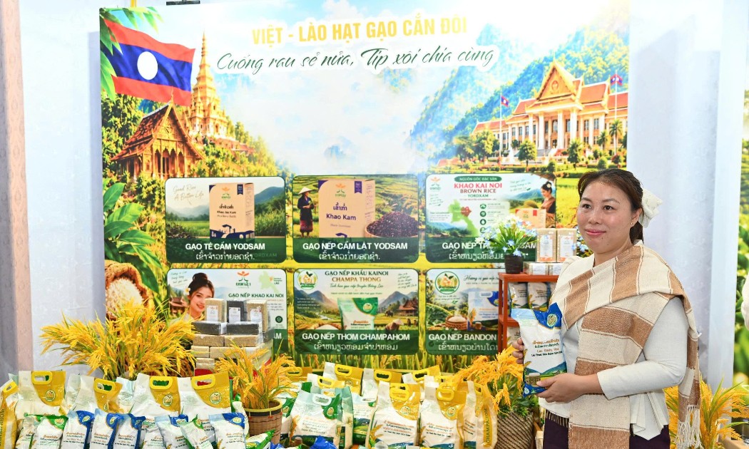 Các sản phẩm đặc trưng của Lào được giới thiệu tại Tuần lễ sản phẩm Việt - Lào. Ảnh: Song Hà.