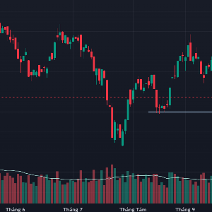 VN-Index đang tìm xuống vùng hỗ trợ thấp hơn quanh mốc 1920 điểm.