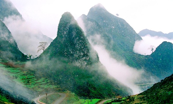 Phục hồi và bảo tồn 10.000 ha hệ sinh thái rừng, phát triển sinh kế tại Tuyên Quang
