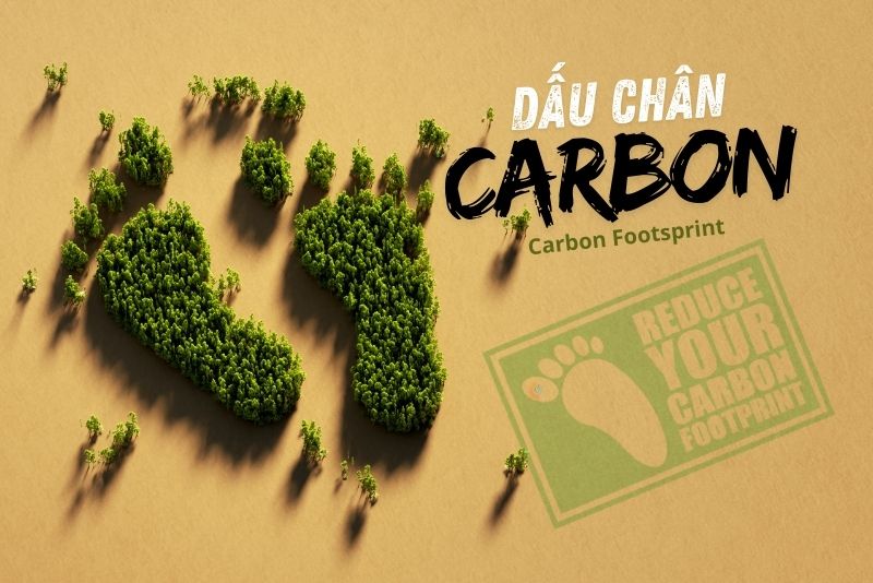 Các yếu tố như dấu chân carbon, khả năng chống chịu khí hậu và tính minh bạch ngày càng liên quan đến quyết định đầu tư và hoạt động của các doanh nghiệp trong chuỗi cung ứng. Ảnh minh họa