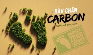 Các yếu tố như dấu chân carbon, khả năng chống chịu khí hậu và tính minh bạch ngày càng liên quan đến quyết định đầu tư và hoạt động của các doanh nghiệp trong chuỗi cung ứng. Ảnh minh họa