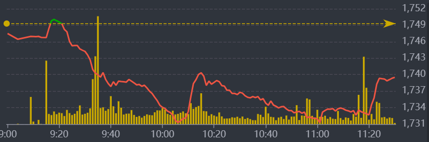 Diễn biến VN-Index sáng nay.
