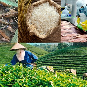 Tốc độ tăng trưởng GDP quý 3/2026 của toàn ngành nông nghiệp ước đạt 4,1-4,2%. Ảnh minh họa.