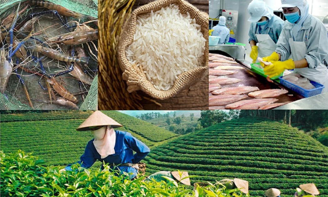 Tốc độ tăng trưởng GDP quý 3/2026 của toàn ngành nông nghiệp ước đạt 4,1-4,2%. Ảnh minh họa.