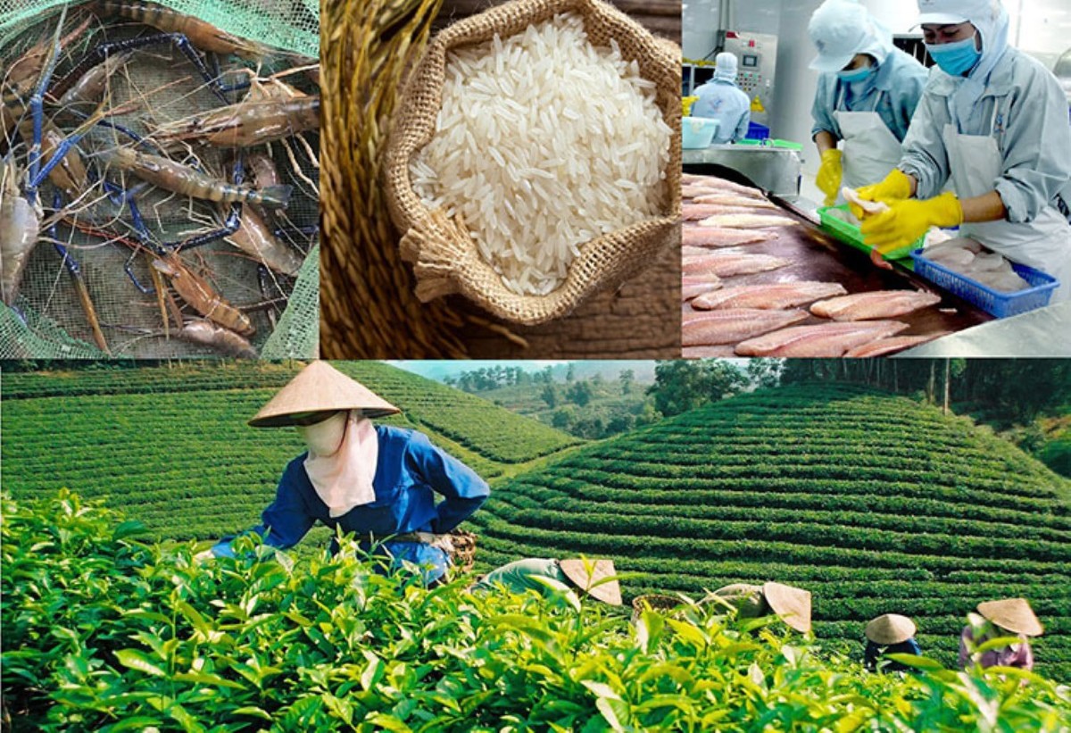 Tốc độ tăng trưởng GDP quý 3/2026 của toàn ngành nông nghiệp ước đạt 4,1-4,2%. Ảnh minh họa.