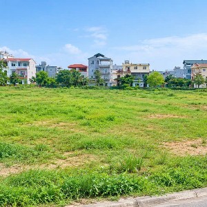 Ảnh minh họa: Thanh Xuân