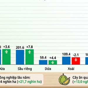 Diện tích và biến động cây lâu năm nổi bật năm 2026.