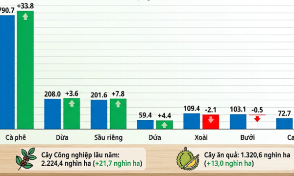 Nông, lâm, thủy sản 9 tháng năm 2026 tăng 4,02%, cây lâu năm bứt phá