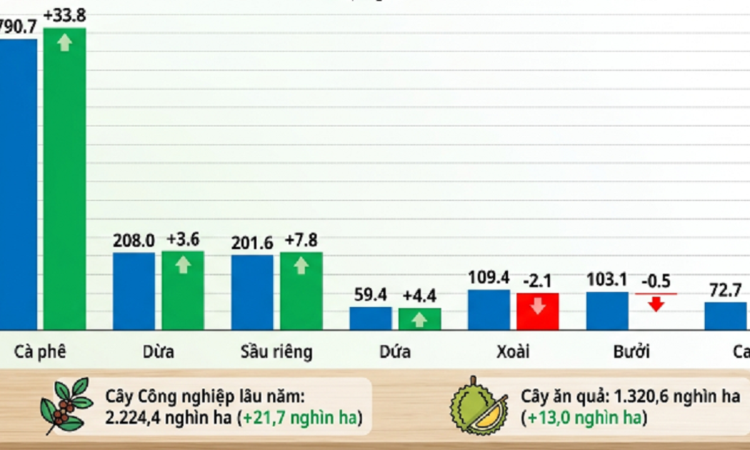 Diện tích và biến động cây lâu năm nổi bật năm 2026.