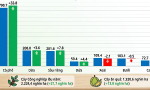 Diện tích và biến động cây lâu năm nổi bật năm 2026.