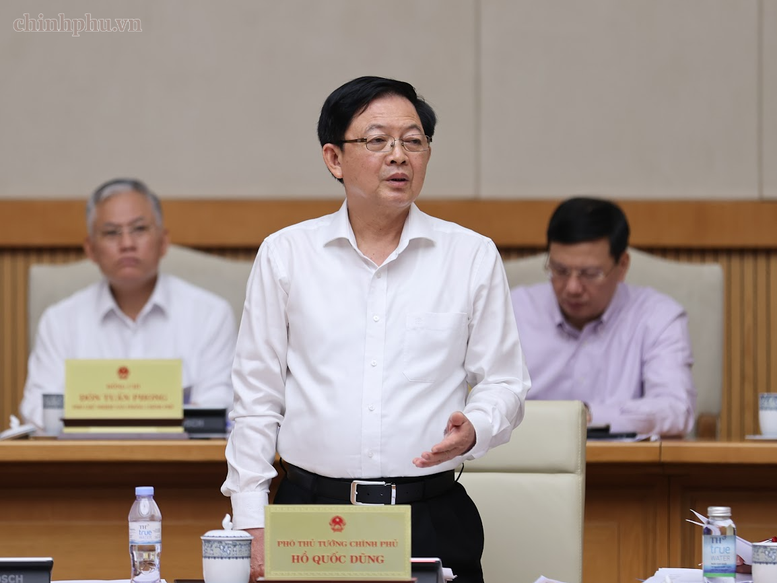 Phó Thủ tướng Hồ Quốc Dũng phát biểu - Ảnh: chinhphu.vn/Nhật Bắc