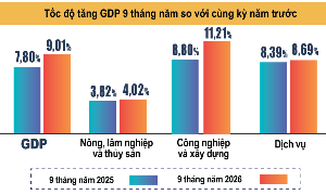 Nguồn: Cục Thống kê, Bộ Tài chính.